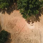 Tenuta Poggio Piero Appartement Montemassi