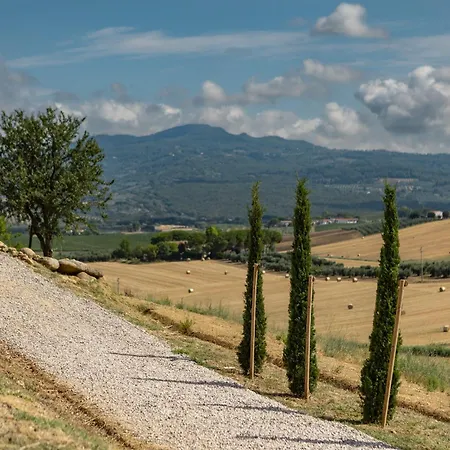 Tenuta Poggio Piero * 몬테마시